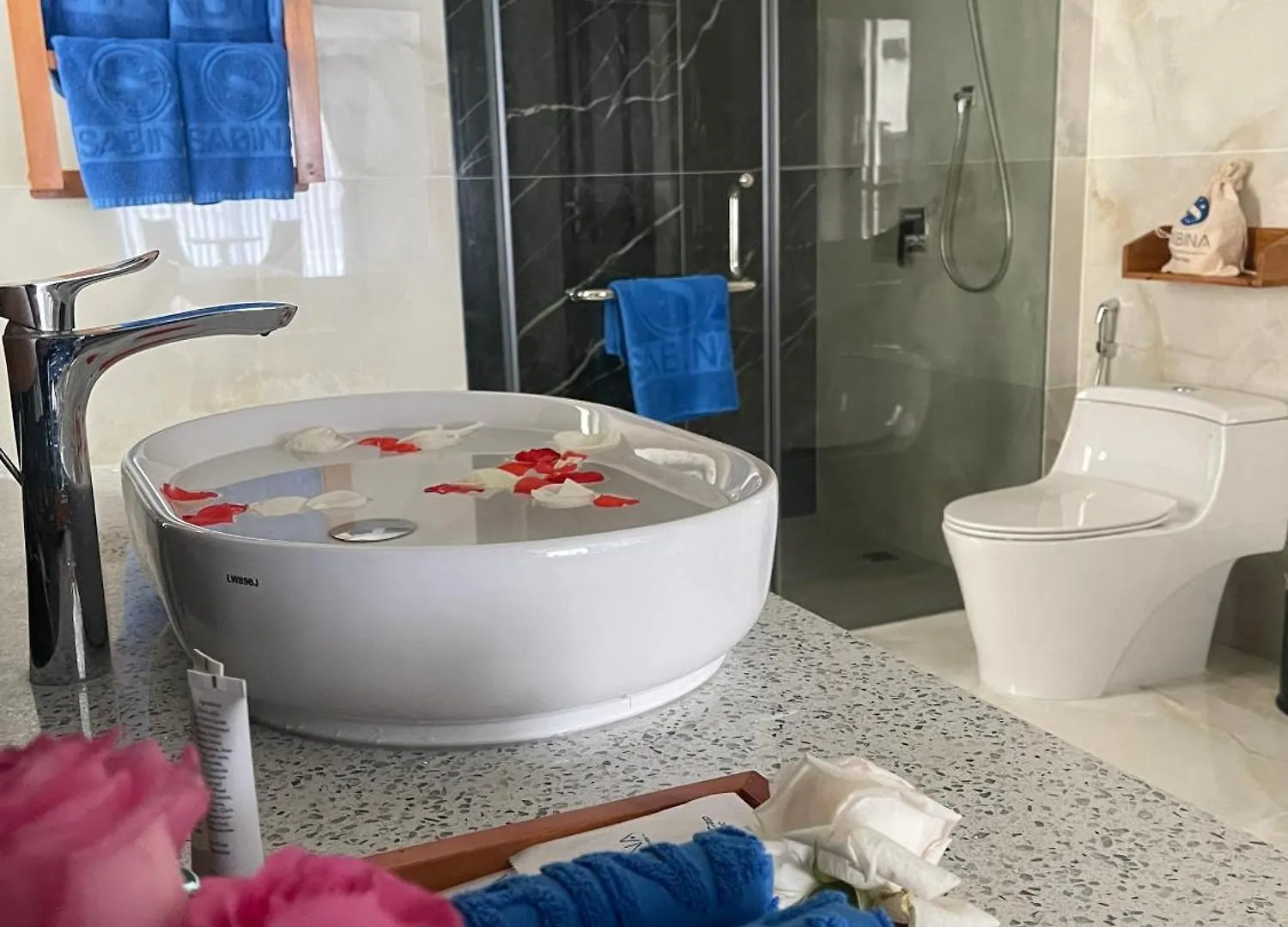 Sabina Luxury Boutique Hotel & Villa Vung Tau 3*,  Vietnam